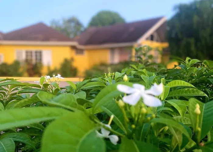 Yancey Largo With Private Pool Montego Bay