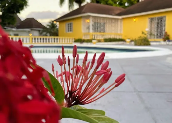 Yancey Largo With Private Pool Villa *